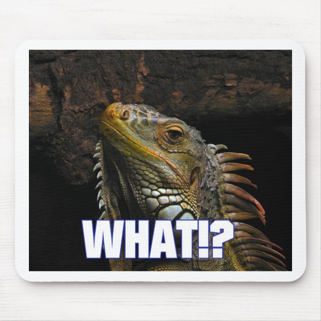 The What!? Iguana Mouse Mat (Front)