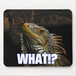 The What!? Iguana Mouse Mat