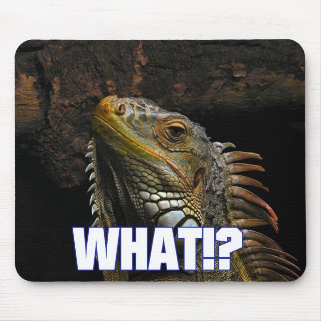 The What!? Iguana Mouse Mat (Front)