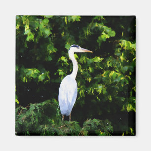 The White Bird Magnet