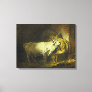 The White Bull in the Stable (oil on canvas) Canvas Print