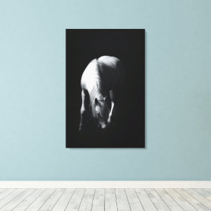 The white horse canvas print