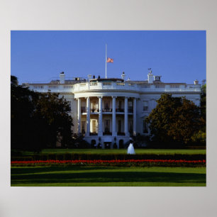 The White House Poster