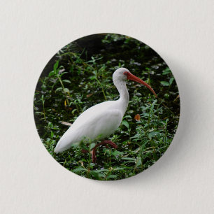 The White Ibis... 6 Cm Round Badge