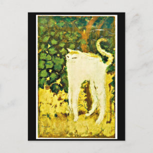 The White Kitten  Postcard