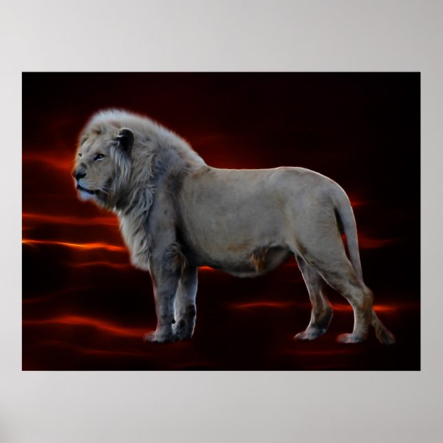 The White Lion Poster (Front)