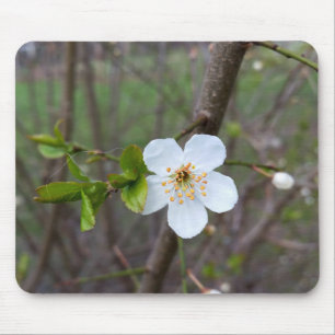 The white of spring mouse mat