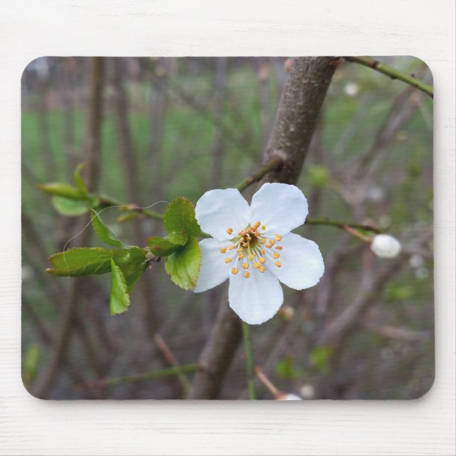 The white of spring mouse mat (Front)