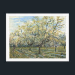The White Orchard (F403) Van Gogh Fine Art Postcard<br><div class="desc">White Orchard,  Vincent van Gogh 1888.  Amsterdam. F 404</div>