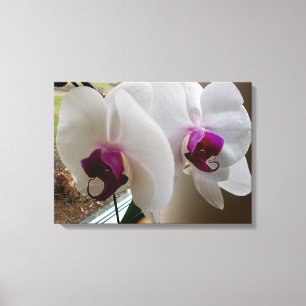 THE WHITE ORCHID canvas Print