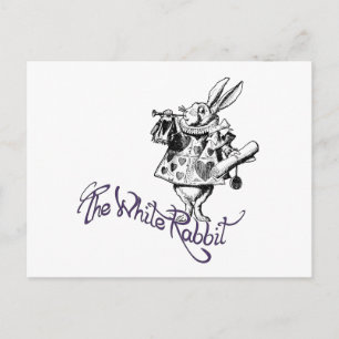 The White Rabbit Postcard