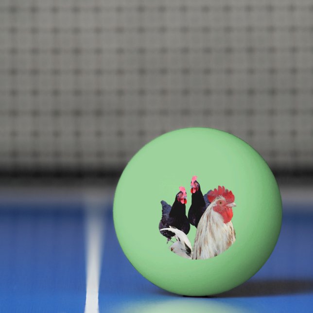 "The White Rooster and His Black Hens" Ping Pong Ball (Net)