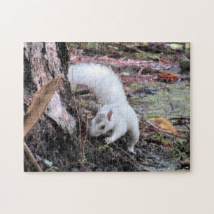 The White Squirrel (Leucistic) Jigsaw Puzzle