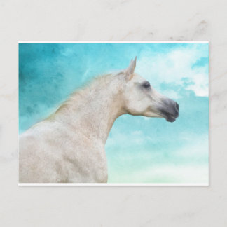 The White Stallion Postcard
