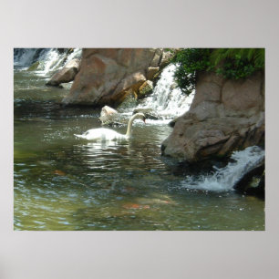 The White Swan Poster