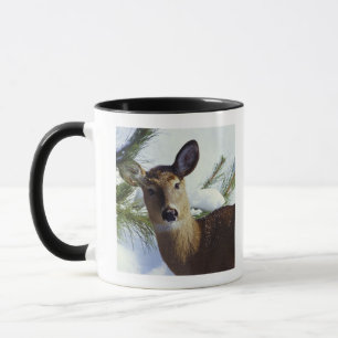 The White-tailed deer (Odocoileus virginianus), Mug