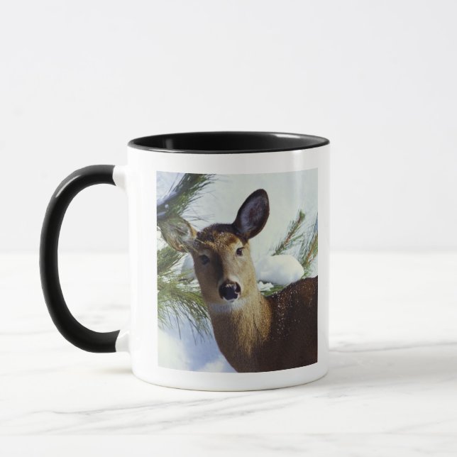 The White-tailed deer (Odocoileus virginianus), Mug (Left)