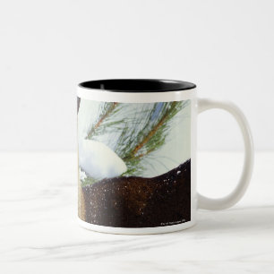 The White-tailed deer (Odocoileus virginianus), Two-Tone Coffee Mug