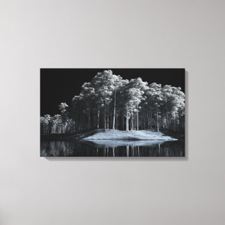The White Woods (Night) Canvas Print