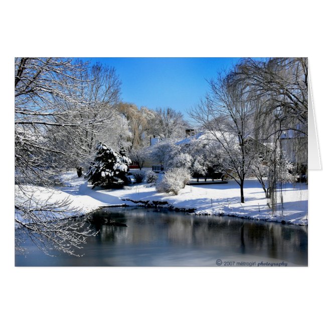 The white world speaks without sound.. (Front Horizontal)