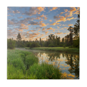 The Whitefish River with nice sunrise clouds Tile
