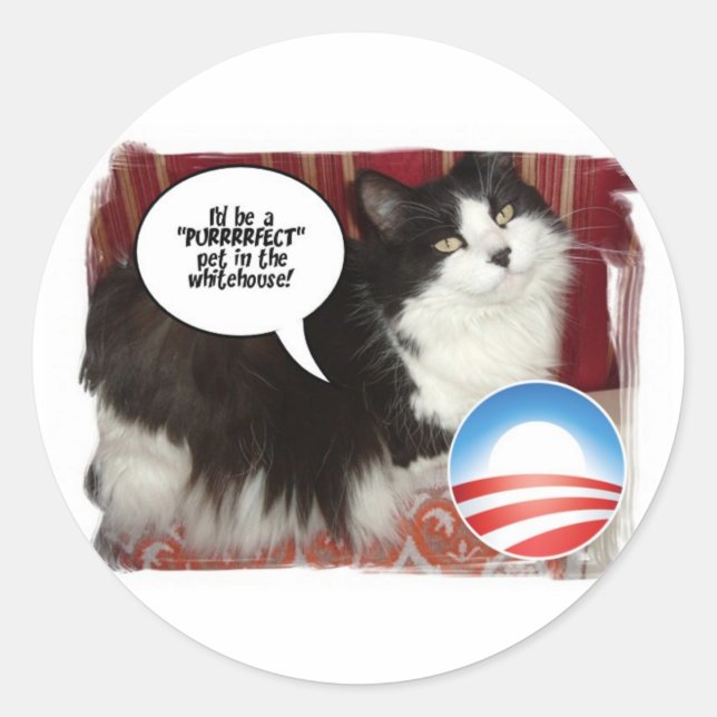 The Whitehouse Pet Kitty Cat Classic Round Sticker (Front)