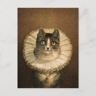 The widow (1861–1897), vintage cat portrait postcard