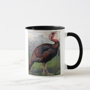 The Wild American Turkey Cock, illustration from ' Mug