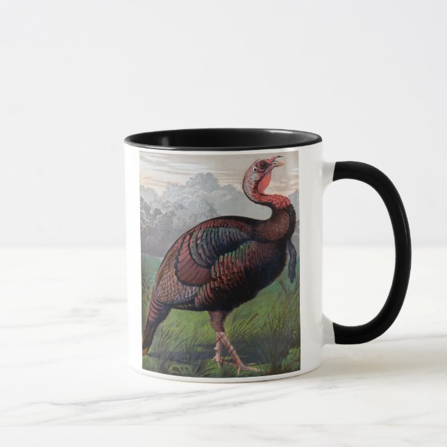 The Wild American Turkey Cock, illustration from ' Mug (Right)
