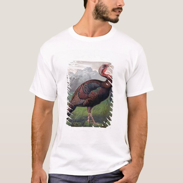 The Wild American Turkey Cock, illustration from ' T-Shirt (Front)