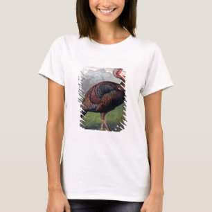 The Wild American Turkey Cock, illustration from ' T-Shirt