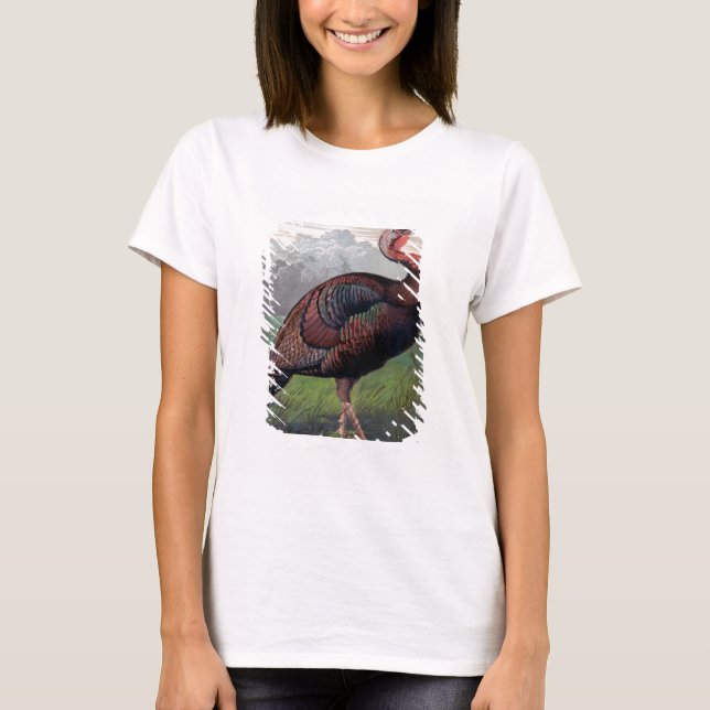 The Wild American Turkey Cock, illustration from ' T-Shirt (Front)
