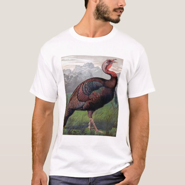 The Wild American Turkey Cock, illustration from ' T-Shirt (Front)