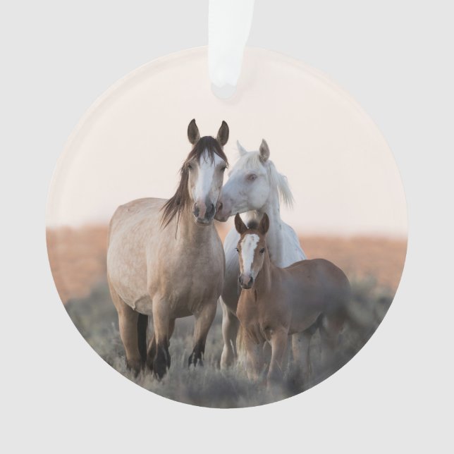 The Wild Family Horse Ornament (Front)