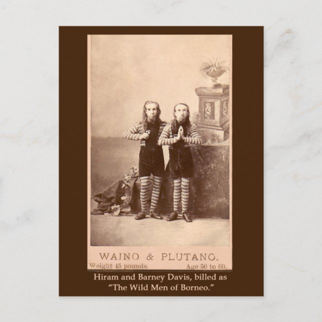 The Wild Men of Borneo on Cards, Postcards (Front)