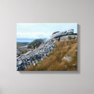 The Wild Moors Bodmin Moor Cornwall England Canvas Print