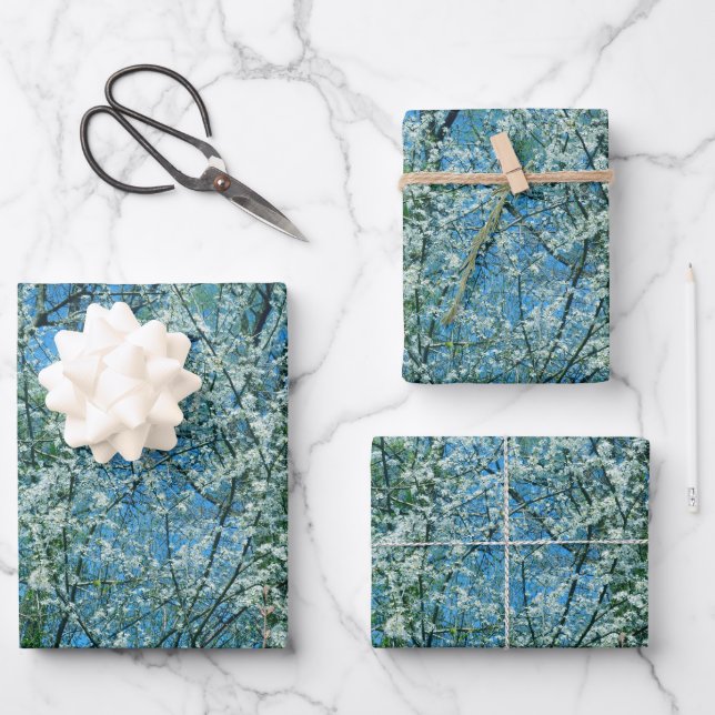 The wild plum tree in blossom  wrapping paper sheet (Front)