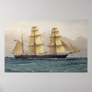 The Wild Swan, 1906 Poster