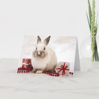 The WildRescue Holiday Card! Card