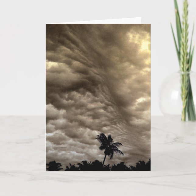 "The Wind of Change" Storm Clouds and a Palm Tree Card (Front)