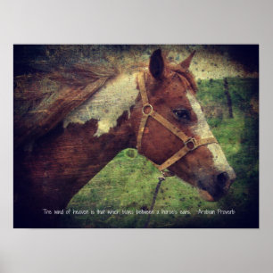 The Wind of Heaven, Flashy Poster