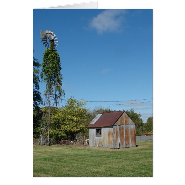 The Windmill and the Shed (Front)