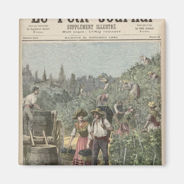 The Wine Harvest Magnet (Front)