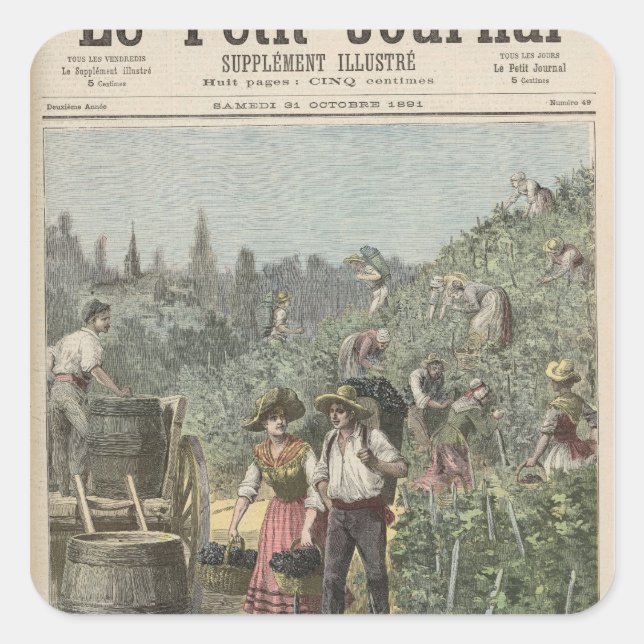 The Wine Harvest Square Sticker (Front)