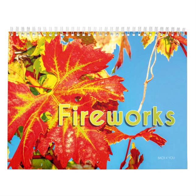 The Wine Wall Calendar - Fireworks. (Cover)