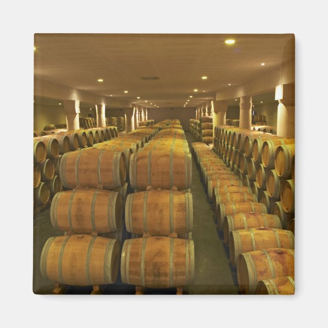 The winery, barrel aging cellar - Chateau Baron Magnet (Front)
