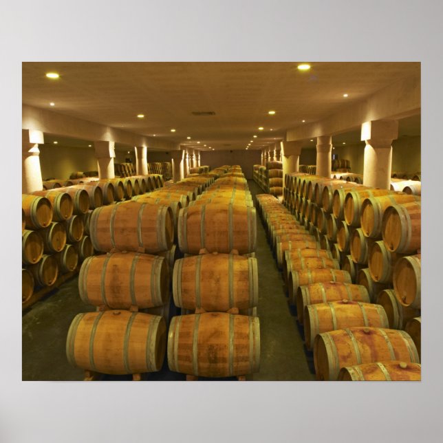 The winery, barrel aging cellar - Chateau Baron Poster (Front)