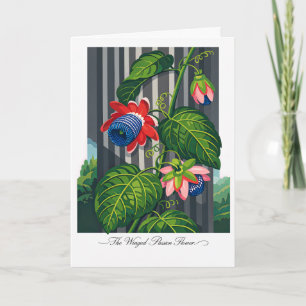 The Winged Passion Flower Botanical Art Card