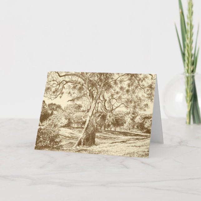 The Winnie the Pooh Tree - Thank You Card (Front)