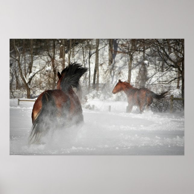 The Winter Chase Horse Poster (Front)